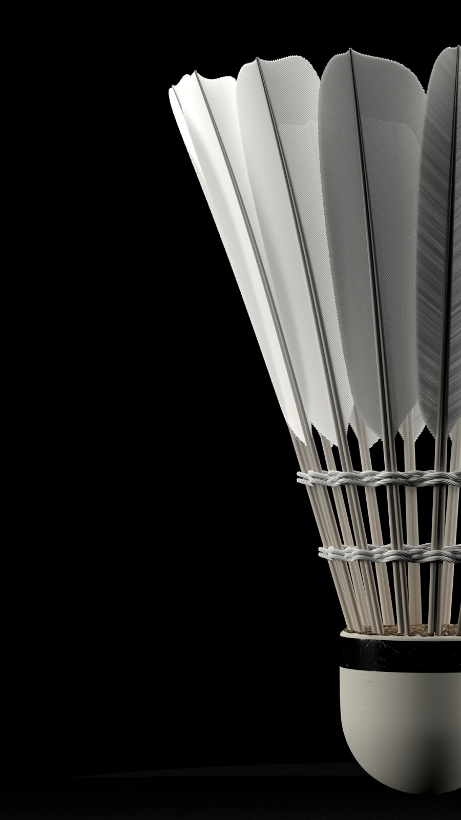 球迷欢呼 球迷欢呼