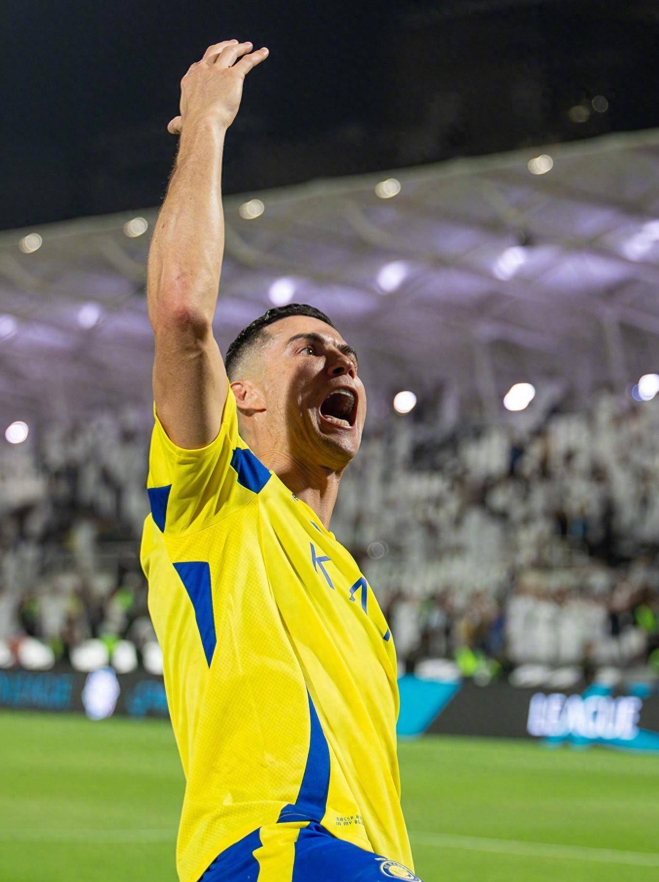 真正的赢家 真正的赢家