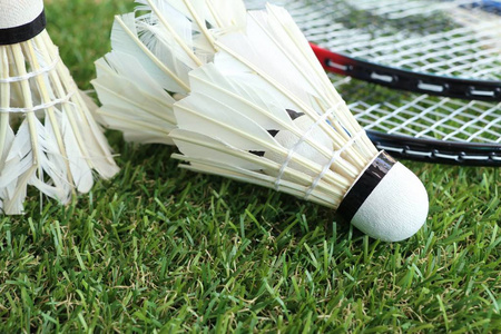 球队的内部 球队的内部