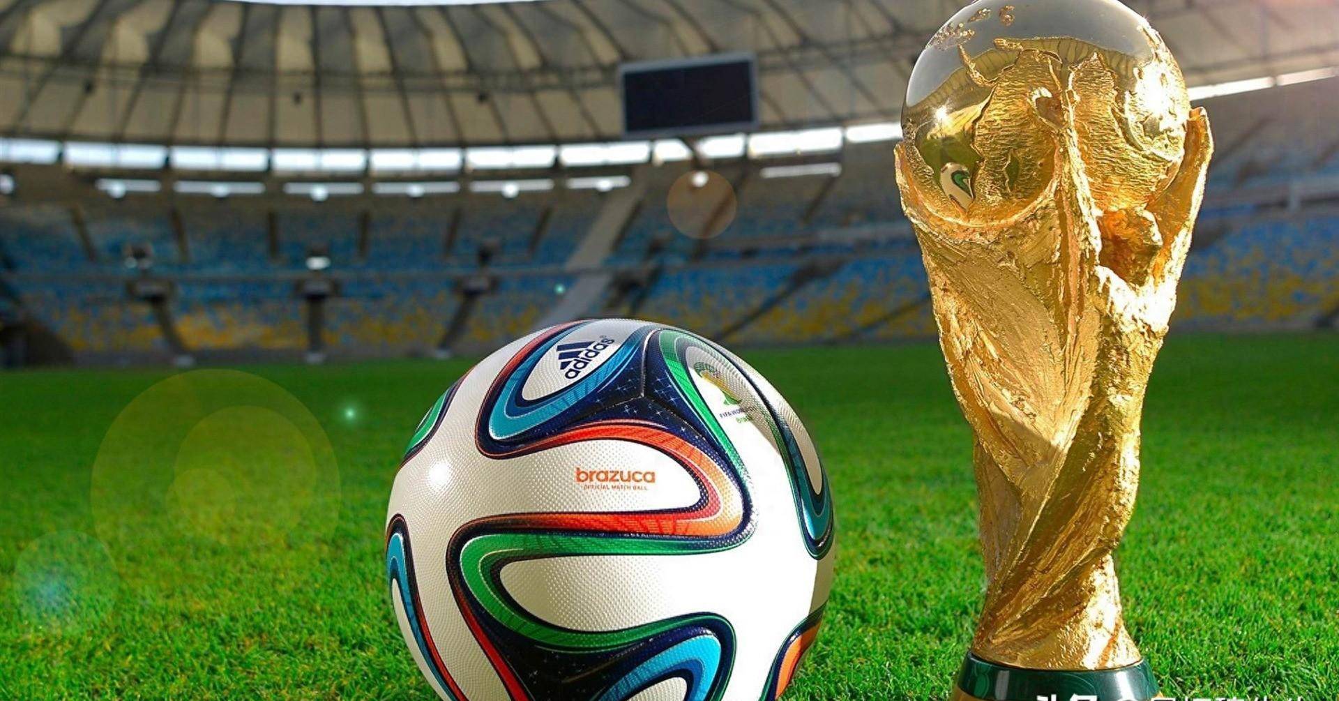 至少确保欧 至少确保欧