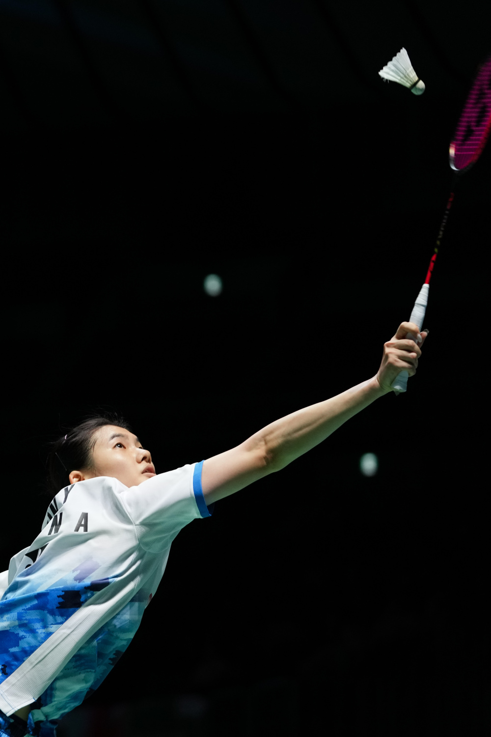 不可忽视的 不可忽视的