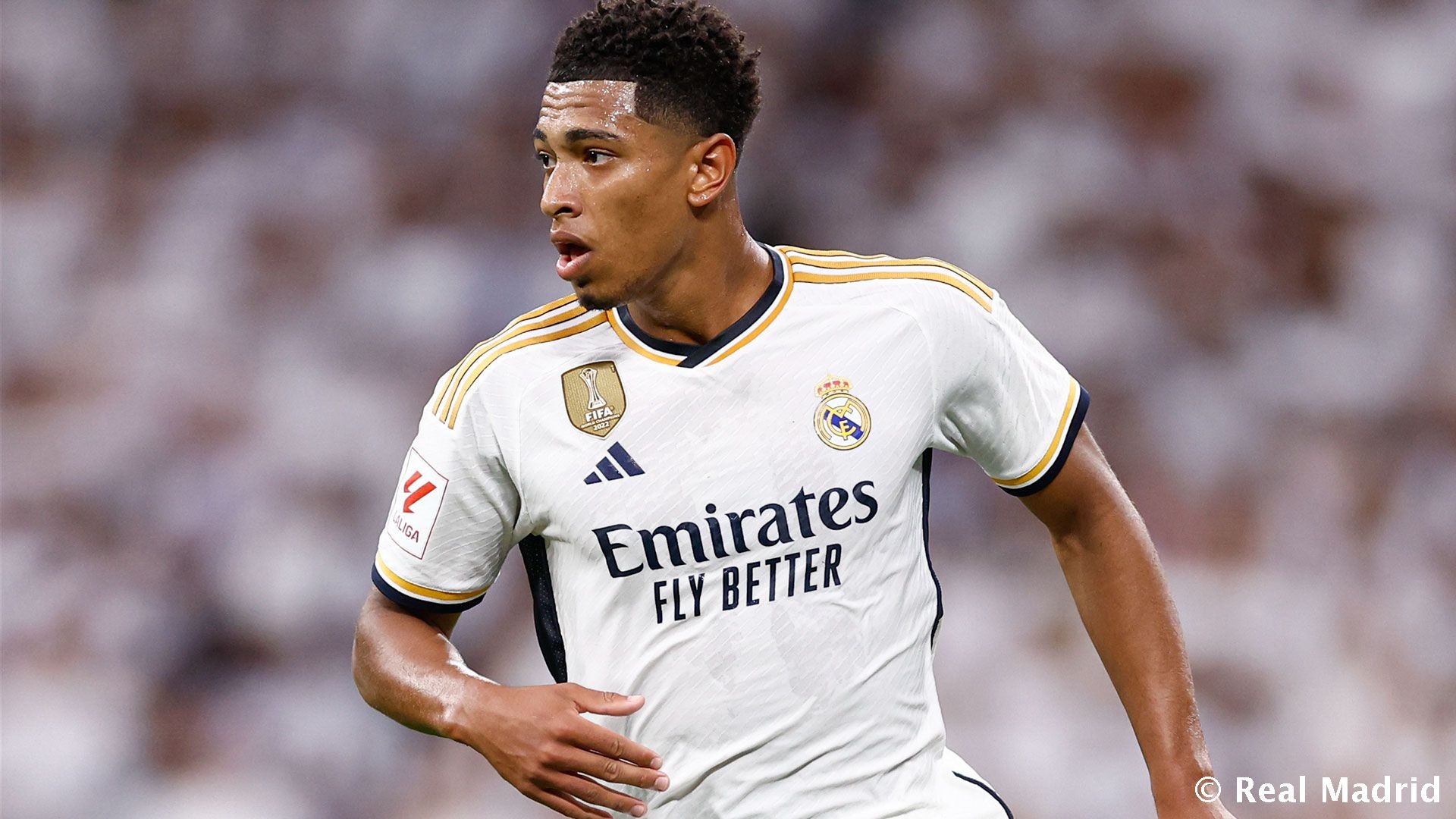 不在挑衅 不在挑衅